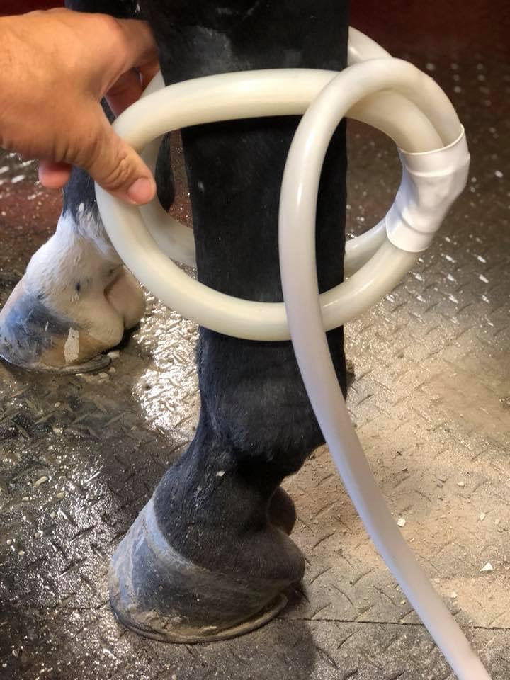 Small 9" Double Butterfly Attachment