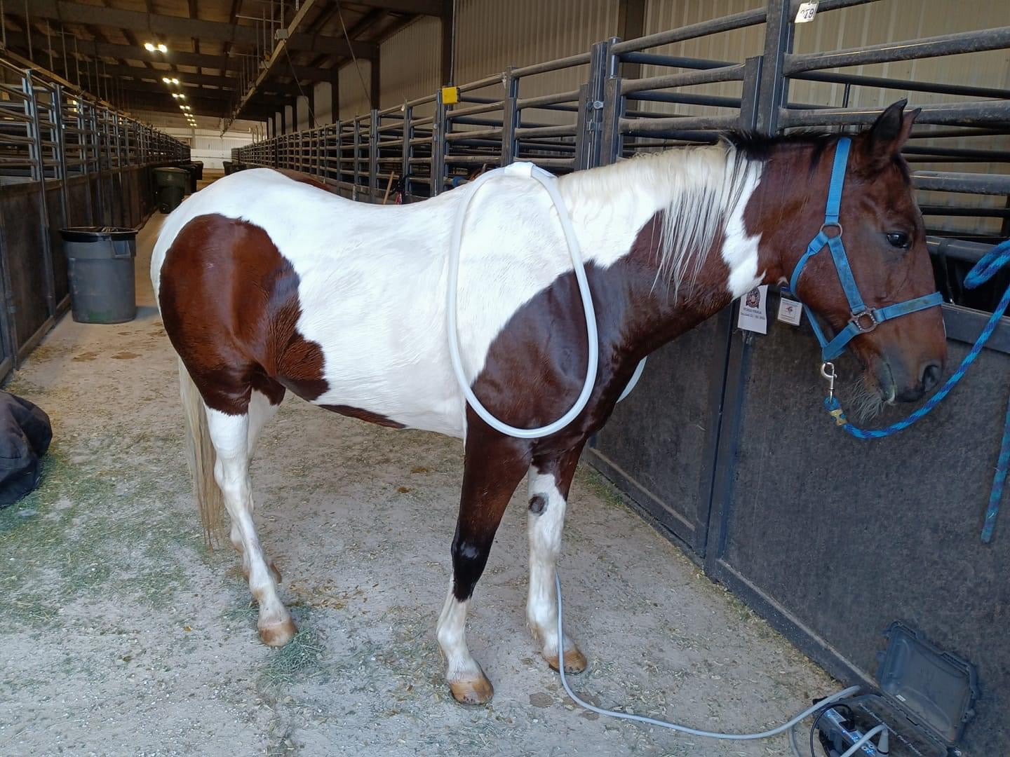 24” Wings Attachment