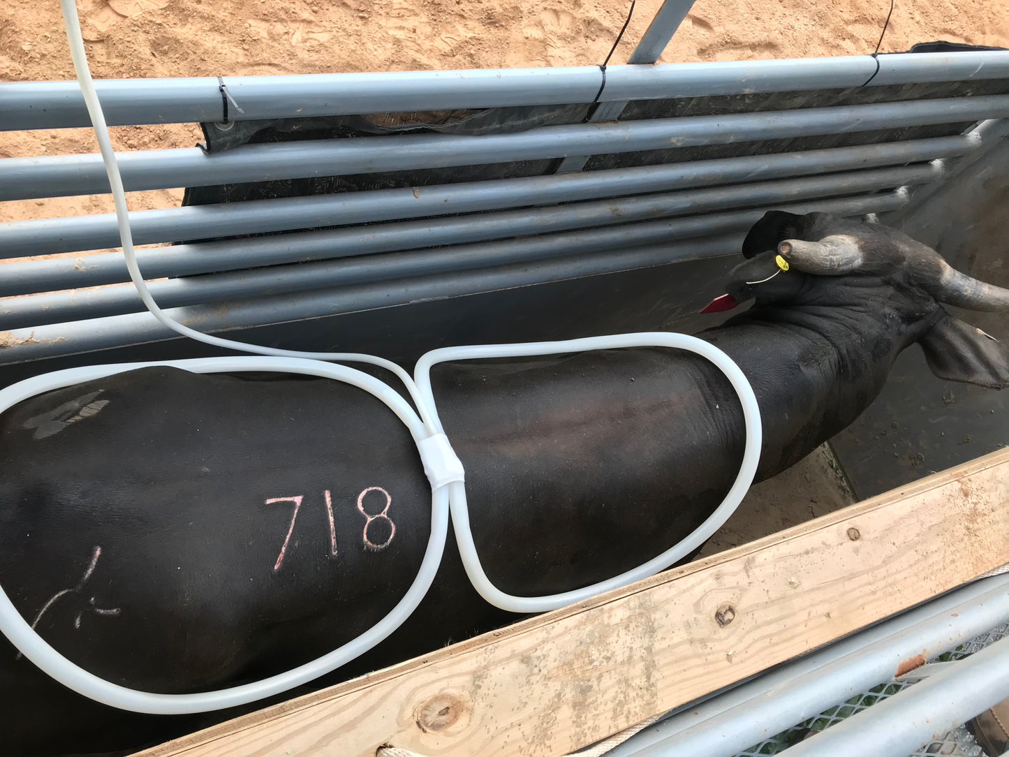 24” Wings Attachment