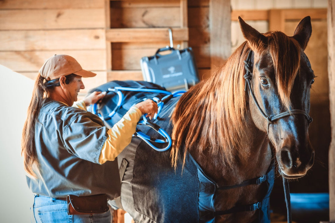 PEMF Complete Comforter EQ Blanket: Full-Body Equine Wellness Made Simple