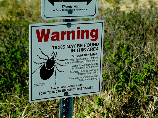 Lyme Disease Immediate and Long Term Treatment