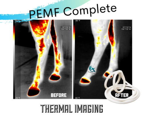 How PEMF Works