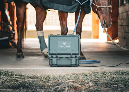 The Sozo PEMF Machine: Therapy for Performance, Recovery, and Daily Wellness