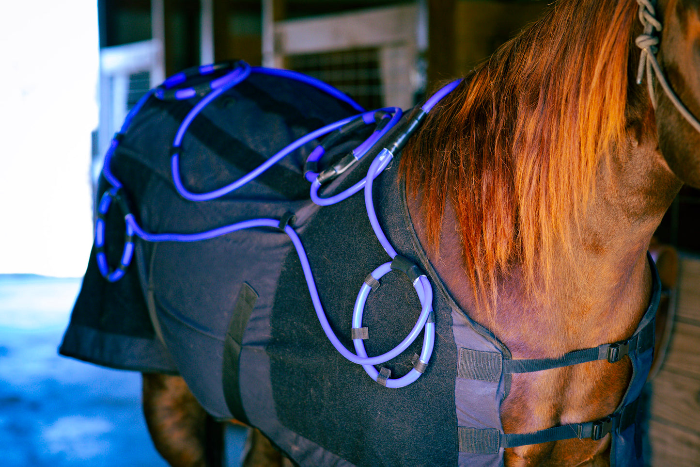 Comforter EQ Blanket