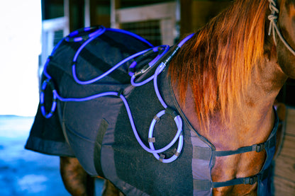 Comforter EQ Blanket