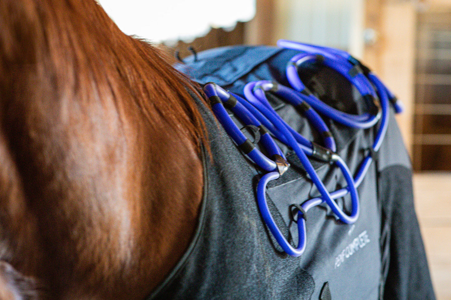 Comforter EQ Blanket