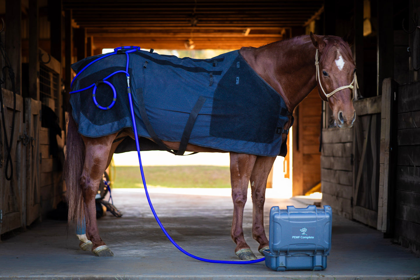 Comforter EQ Blanket