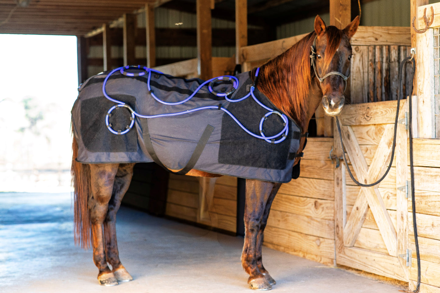 Comforter EQ Blanket
