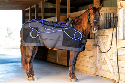 Comforter EQ Blanket