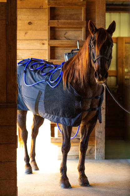 Comforter EQ Blanket