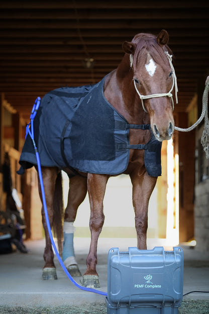 Comforter EQ Blanket