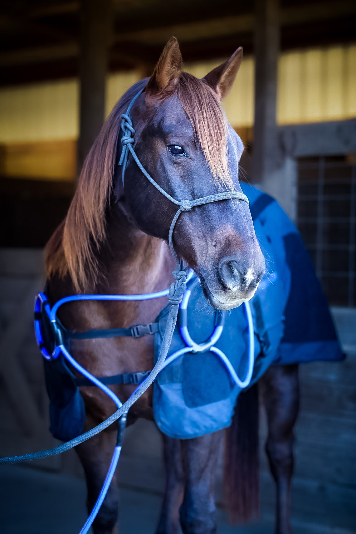 Comforter EQ Blanket