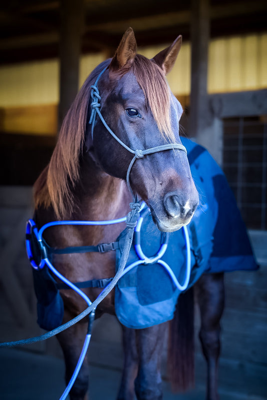 Comforter EQ Blanket