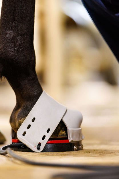 Mag Disc Hoof Pro Kit