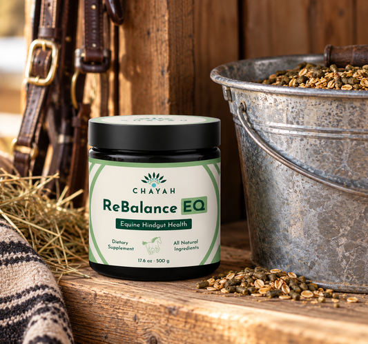 ReBalance EQ - Equine Hindgut Health