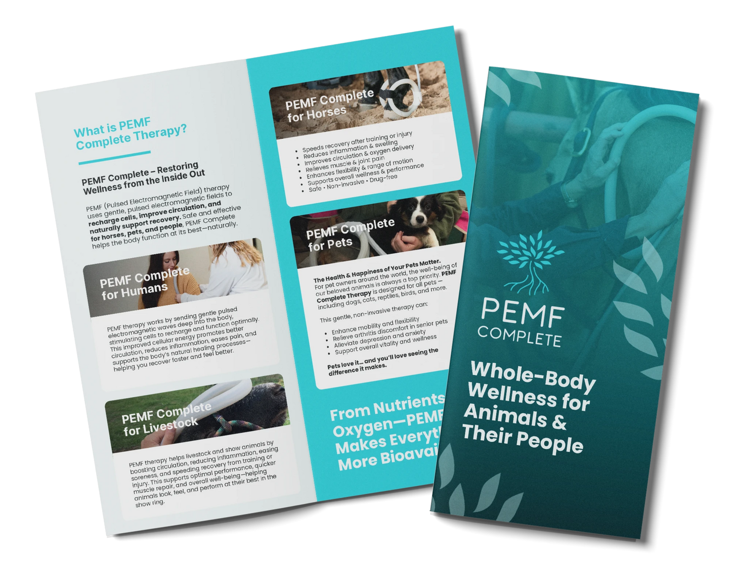 Animal Wellness Brochure