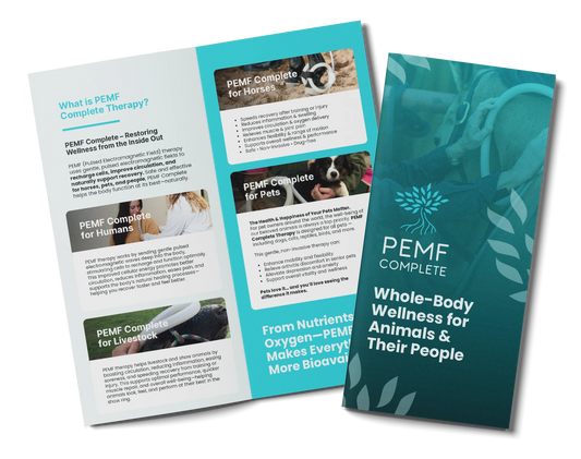 Animal Wellness Brochure