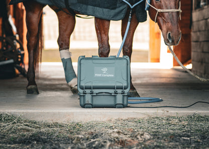 Sozo Wing Bundle
