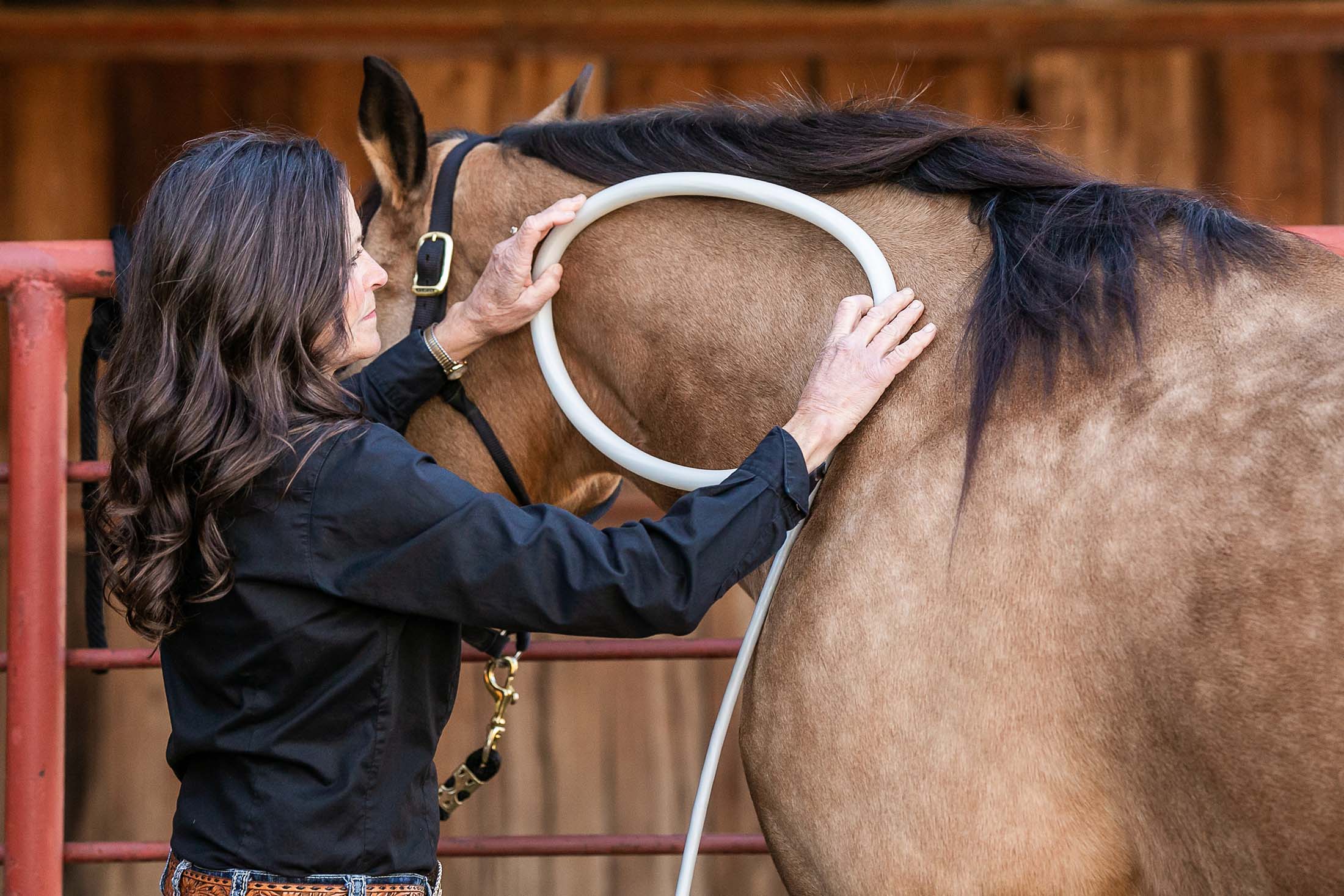 Woman placing PEM loop against horse's neck